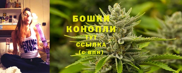 скорость Бородино