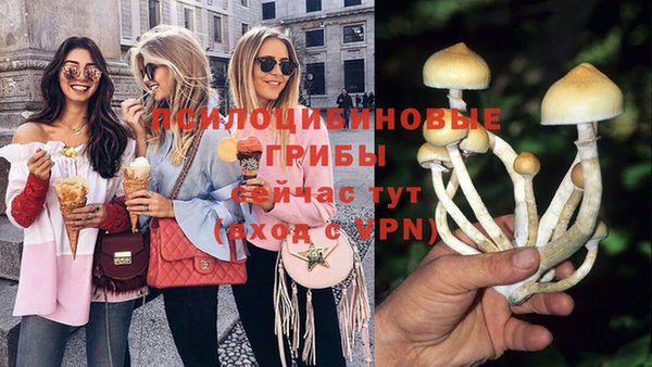 прущие крисы Бугульма