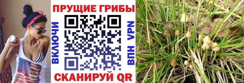 Галлюциногенные грибы мухоморы Псков